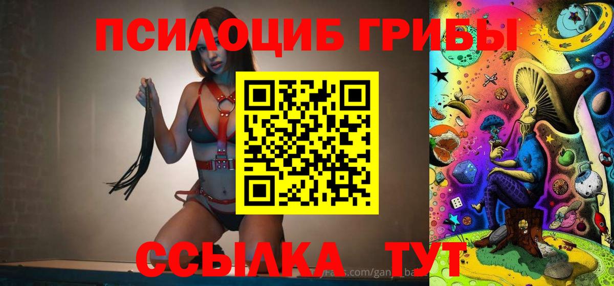 Псилоцибиновые грибы Psilocybe Можга